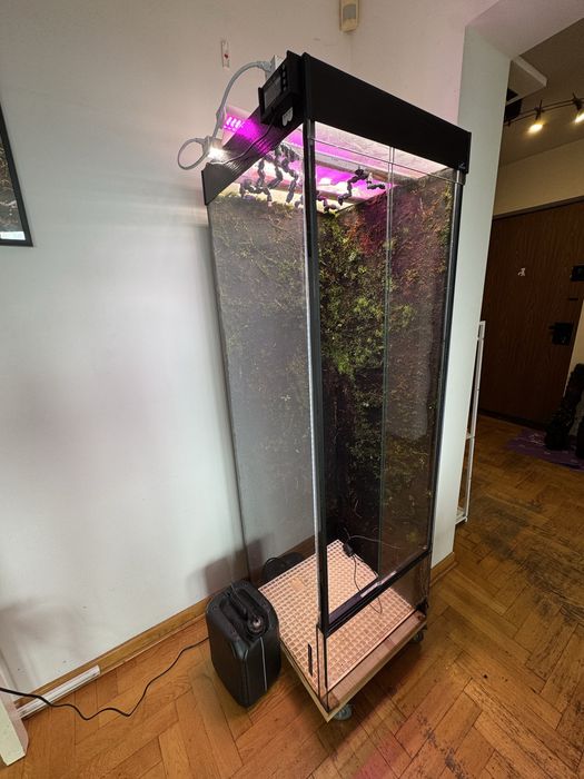 Paludarium terrarium 150x50x50