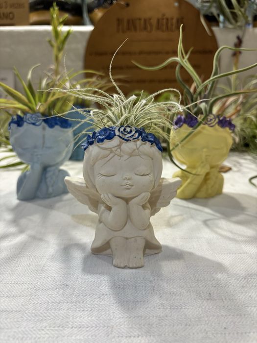 Suporte para planta aerea