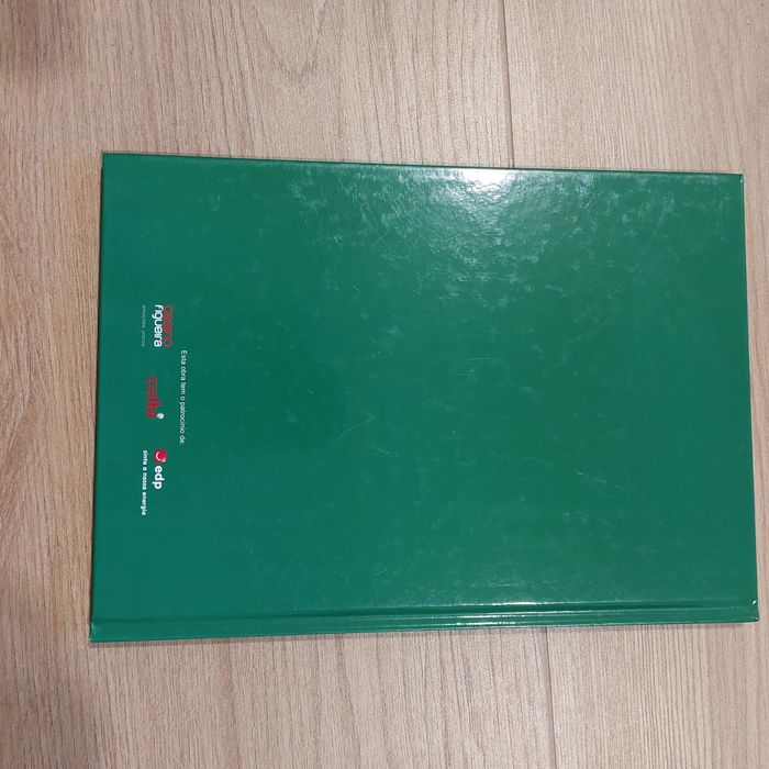 Figueira da foz - evocação do centenário