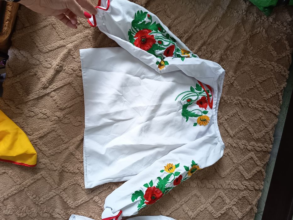 Вишиванка, спідниця