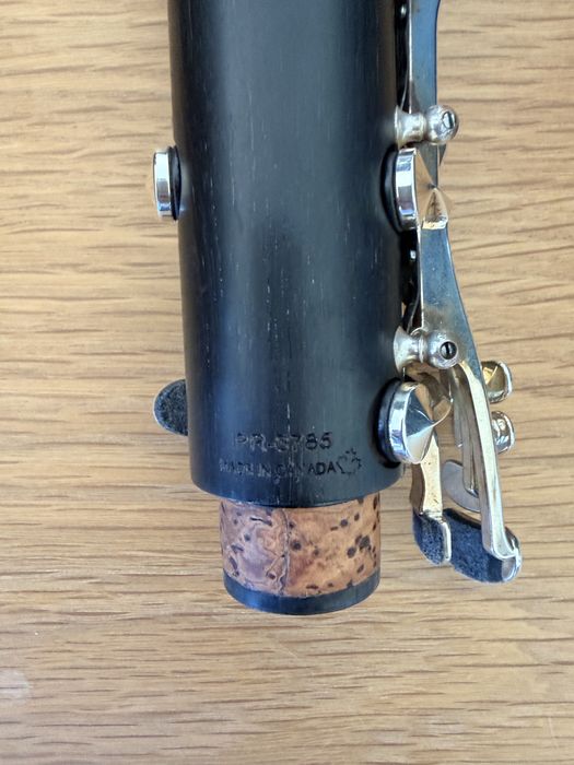 Clarinete Backun protege