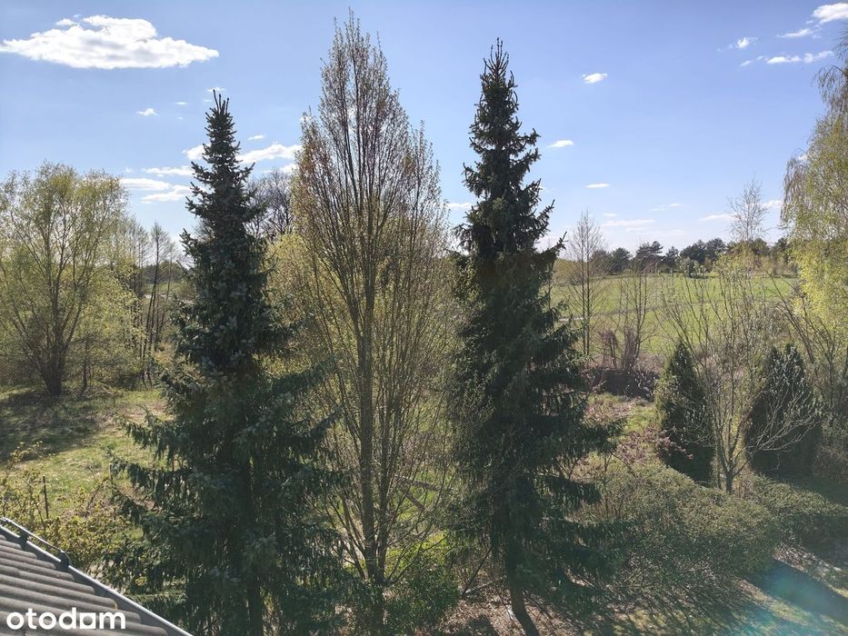Kicin Wichrowa Gmina Czerwonak