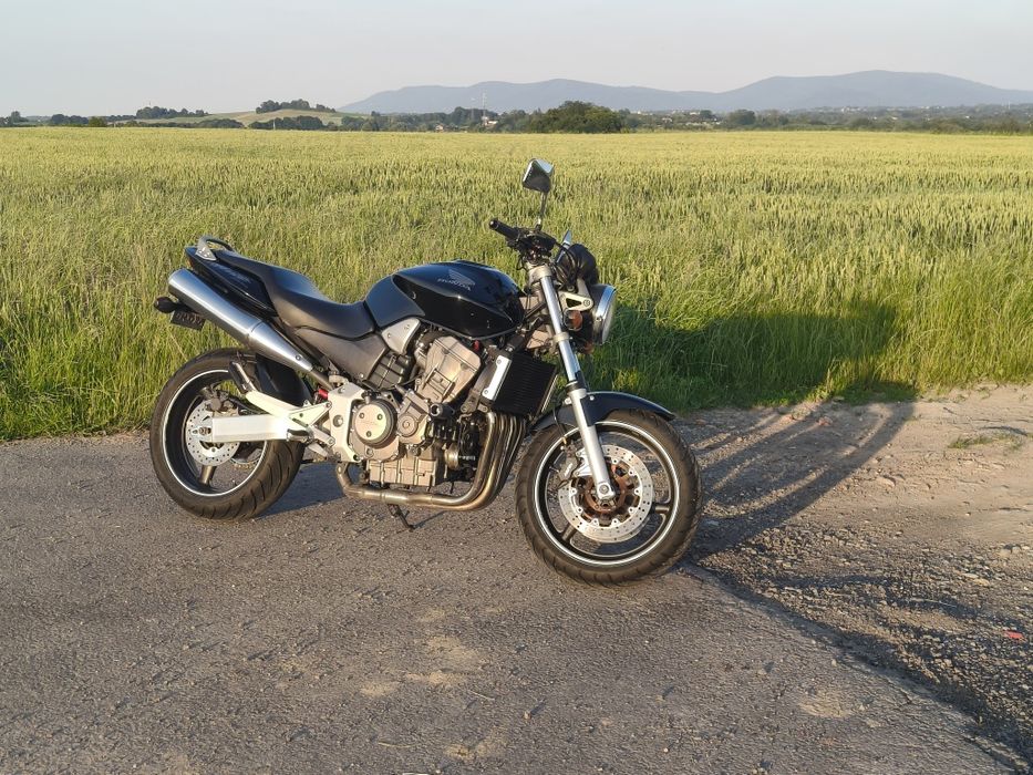 Hornet 900 Stinky