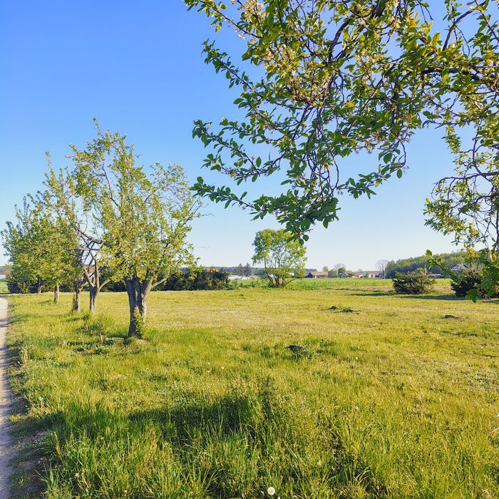 Działka z warunkami zabudowy