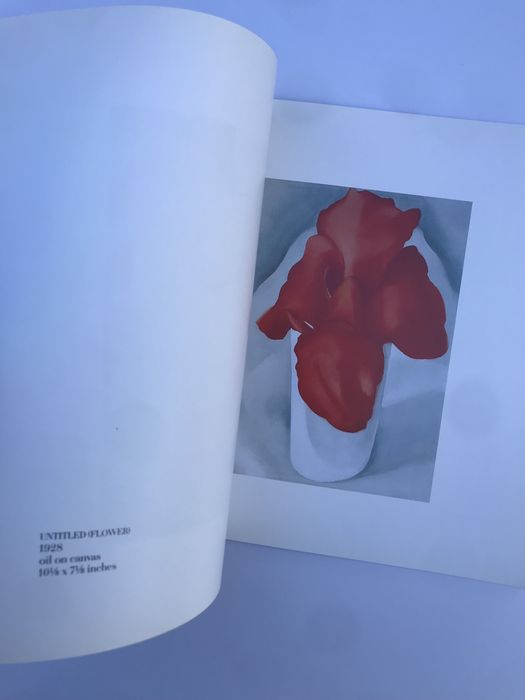 Livro sobre pintura de Georgia O’Keffe