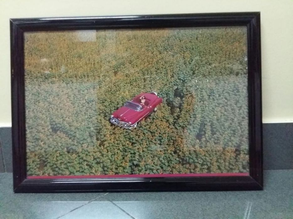 8 Decorative Picture Frames423209120784732165
