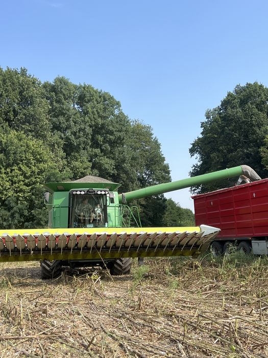 Жатка соняшникова