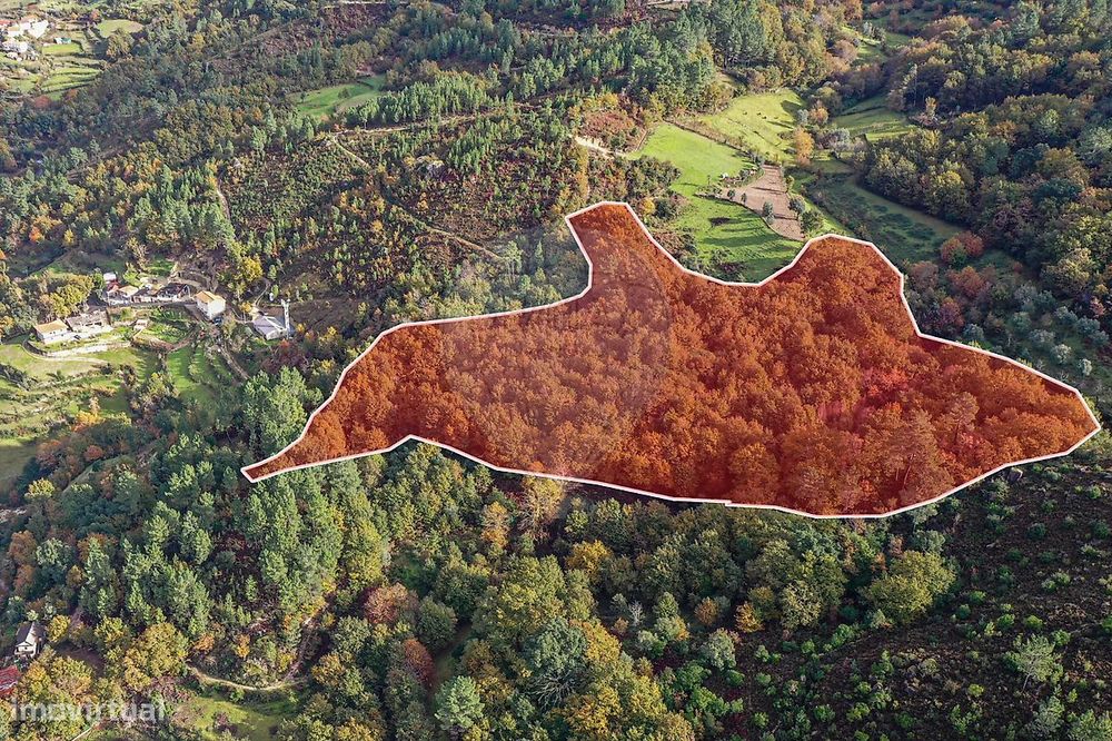 Terreno  para venda
