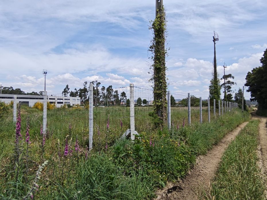 Arrendo terreno vedado