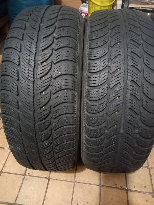Opony zimowe  Dębica  Frigo 2