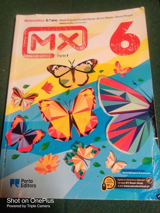 Livros Escolares 5º e 6º Ano em Excelente Estado - Oportunidade Única!
