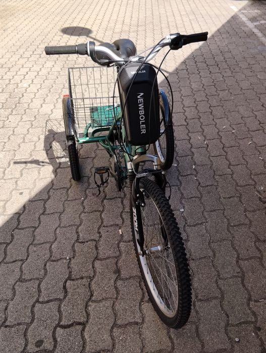 Triciclo adulto Terra