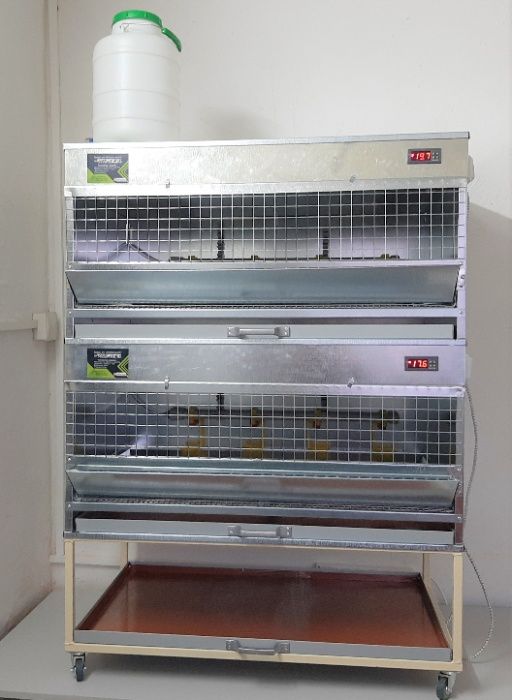 Брудер яслі клітка для пташенят обігріву бройлерів