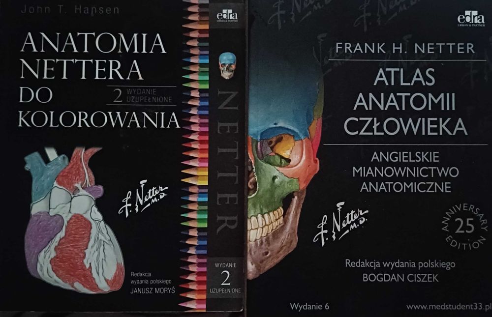 Atlas anatomii człowieka z angielskimi nazwami