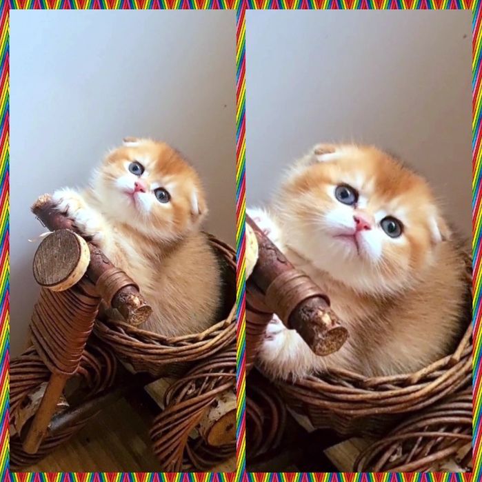 Самый самый красивый малыш