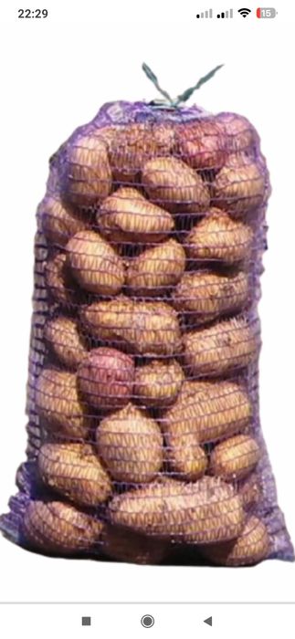 Картопля домашня