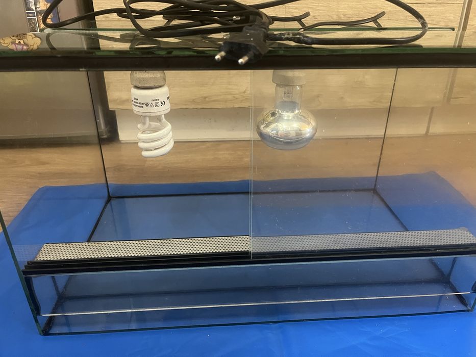 Terrarium dla żółwia lądowego