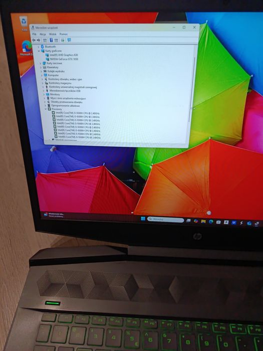 Laptop gamingowy HP 17.3 cali i5 24GB RAM GTX 1650 bang and olufsen