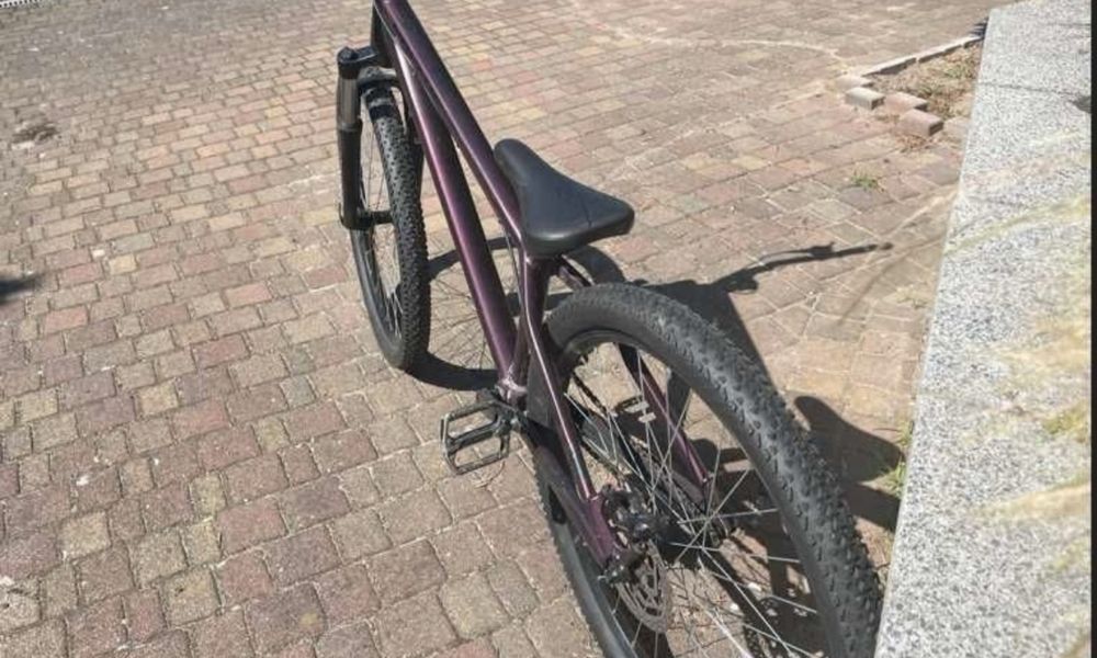 Dirt Kellys Whip 10