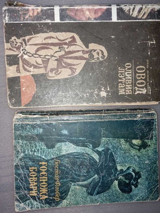 Г. Флобер. Госпожа Бовари