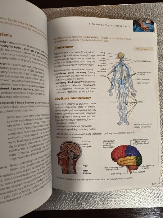 Edukacja dla bezpieczeństwa Linia ll operon zakres podstawowy