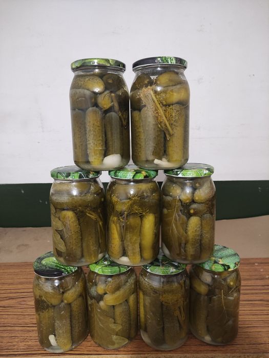 Ogórki kiszone domowej roboty z własnej działki