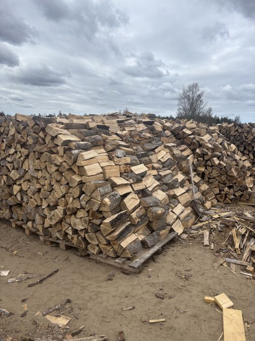 Drewno Kominkowe Buk