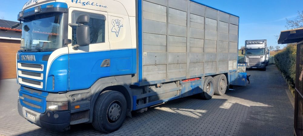 Scania do żywca R380