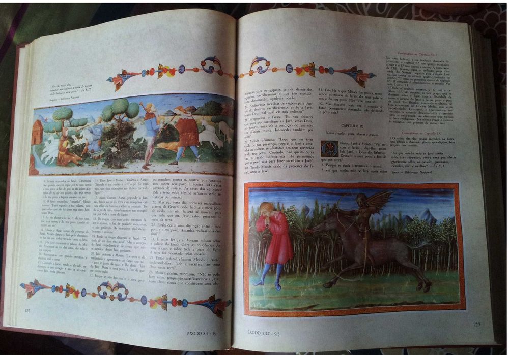 A Biblia ilustrada - Antigo e Novo testamentos -8 livros