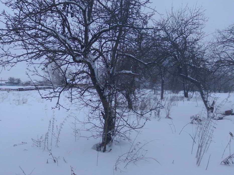 Продам дом в хорошем состоянии