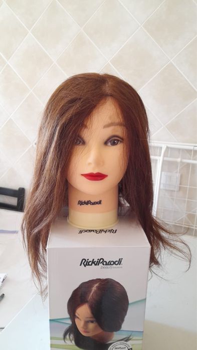 Cabeça académica com suporte