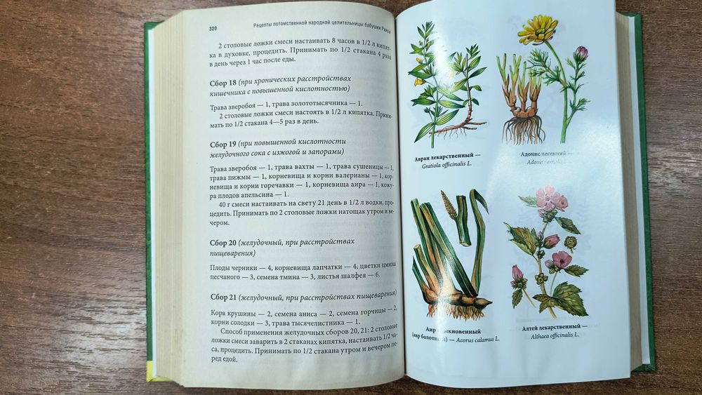 Травник Иллюстрированный справочник (Советы целительницы Евдокии)