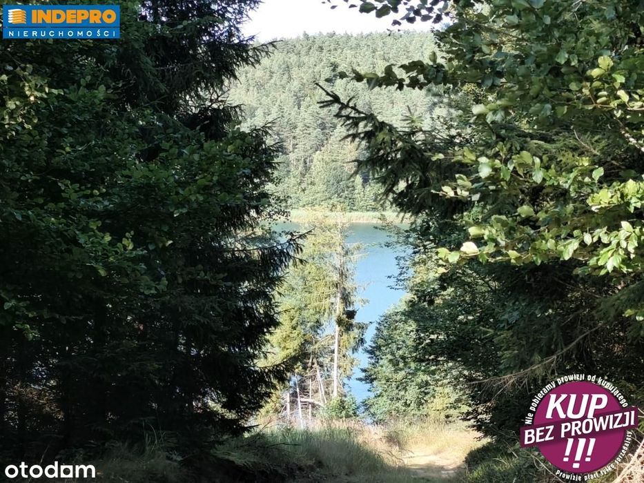 Okazja Urocze działki budowlane Przyjezierze