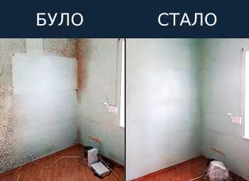 Видалення плісняви. Цвіль. Грибок. Знищення цвілі. Обробка від грибка.