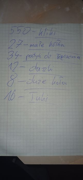 Klocki konstrukcyjne Clics (kliki) Ok 600szt