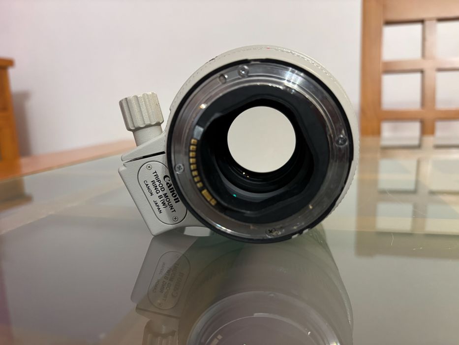 Lentes Canon profissionais