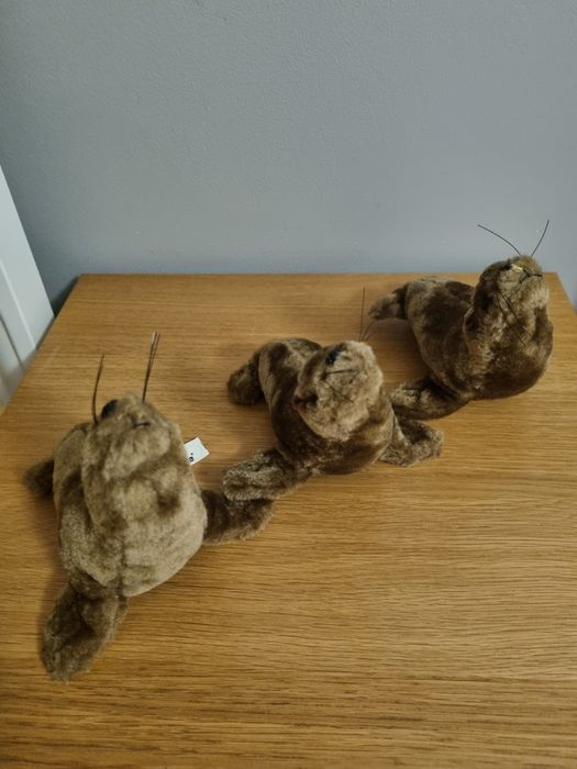 PORTES GRÁTIS - Peluche NOVO Foca Castanha do Zoomarine