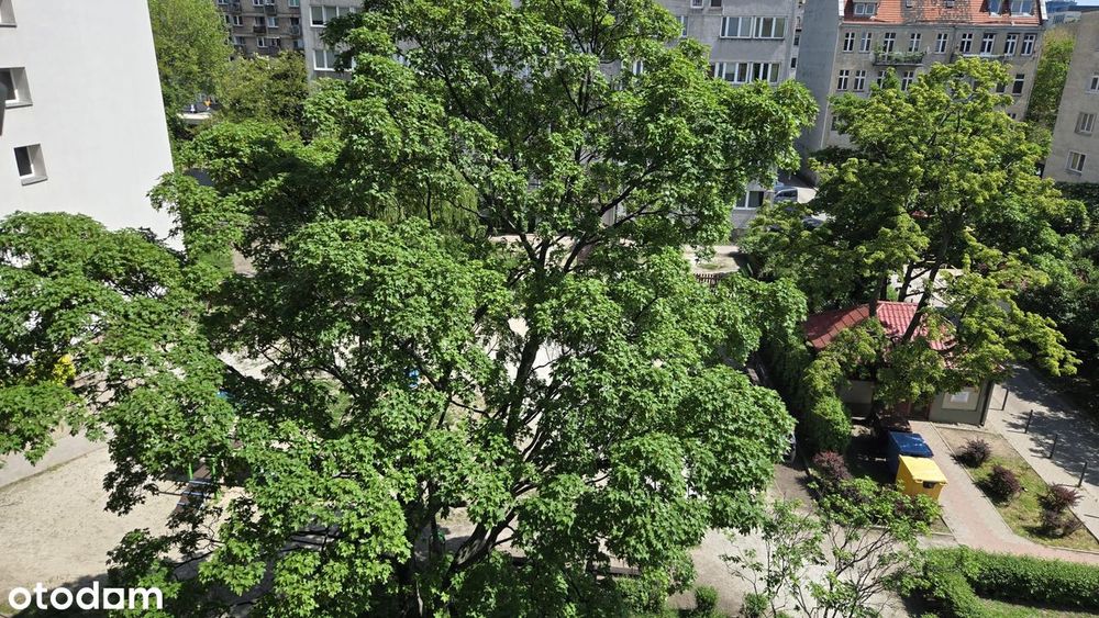 2 pokoje | oddzielna kuchnia | Centrum | Legnicka | od właściciela