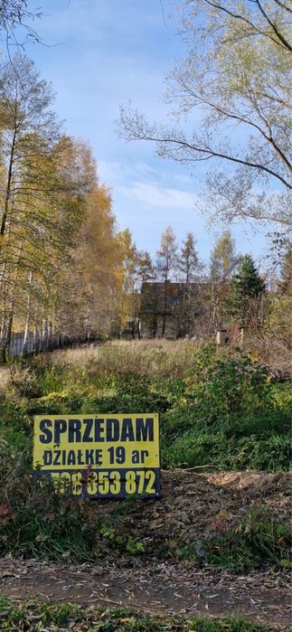 Sprzedam działkę 20 ar Konin-Kolonia Morzysław