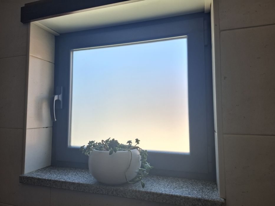 Janela vidro duplo oscilobatente - vidro fosco