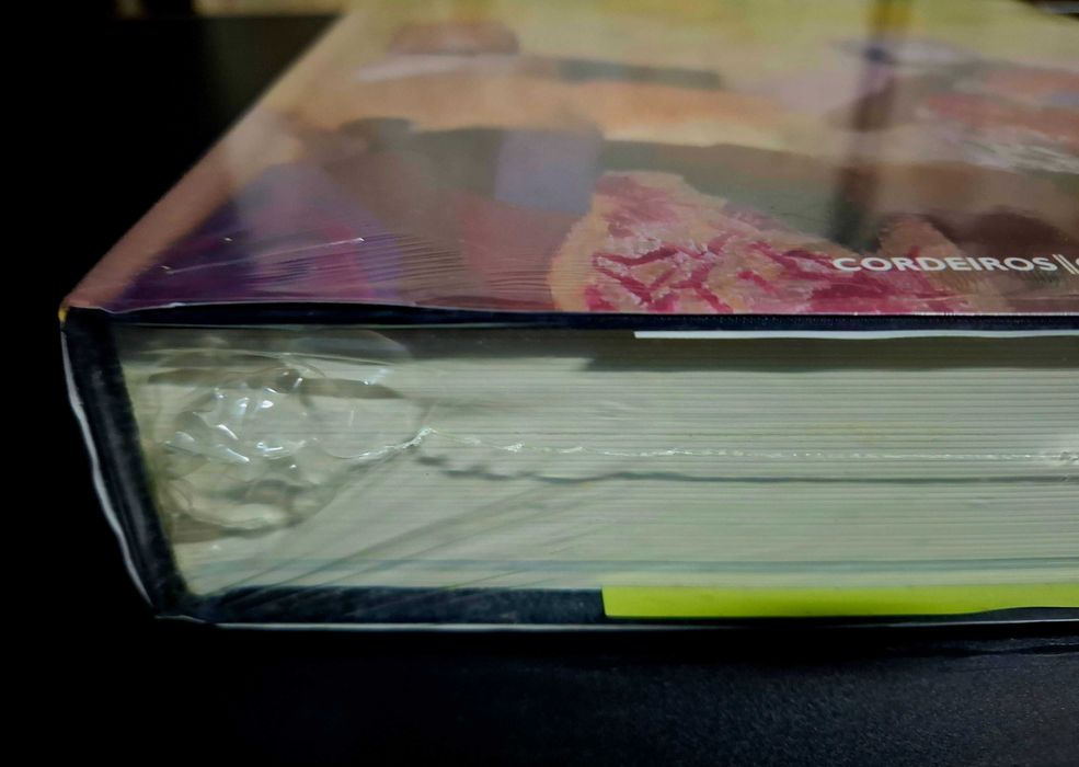 Julio Resende e a Pintura Grande Livro