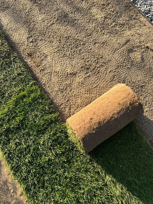 Trawa z rolki, trawa z transportem, zamów online