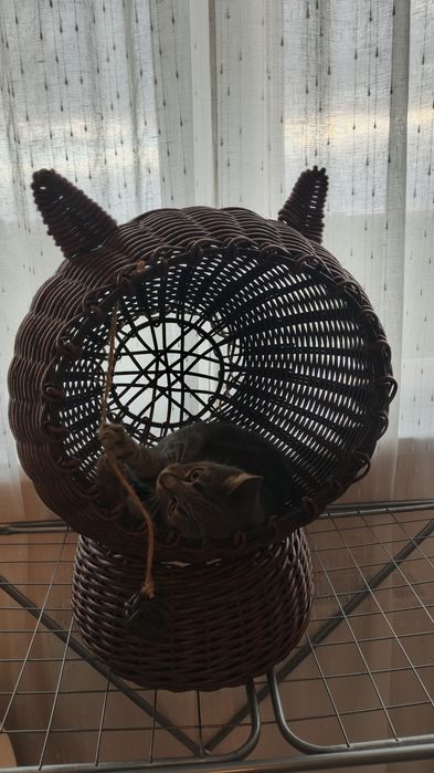 Котобудиночок з ротангу