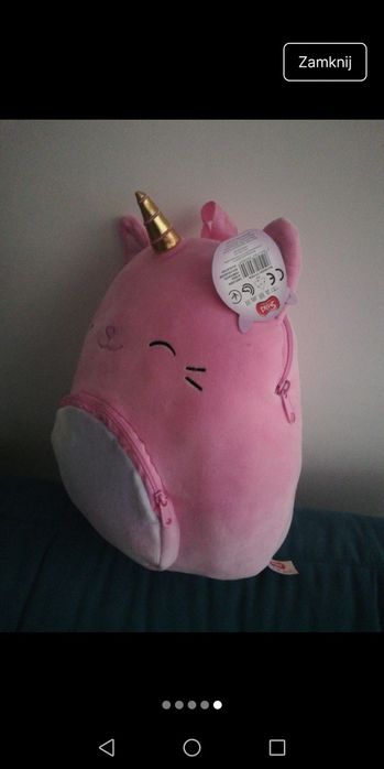 Plecaczek kotek-jednorozec