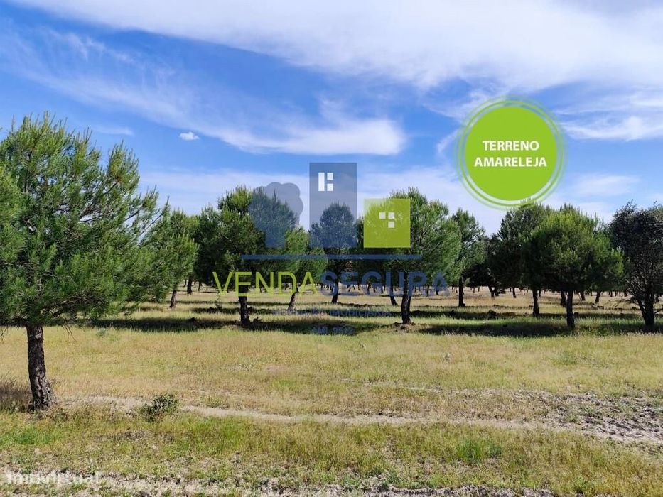Terreno Rústico 11,425 Ha |Amareleja
