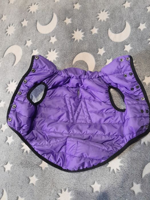 Одяг для улюбленця