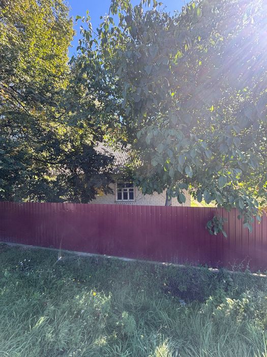 Продам будинок в селі Орловець