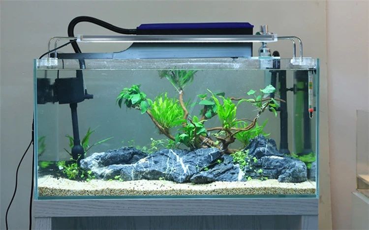 Filtro de aquario externo novos