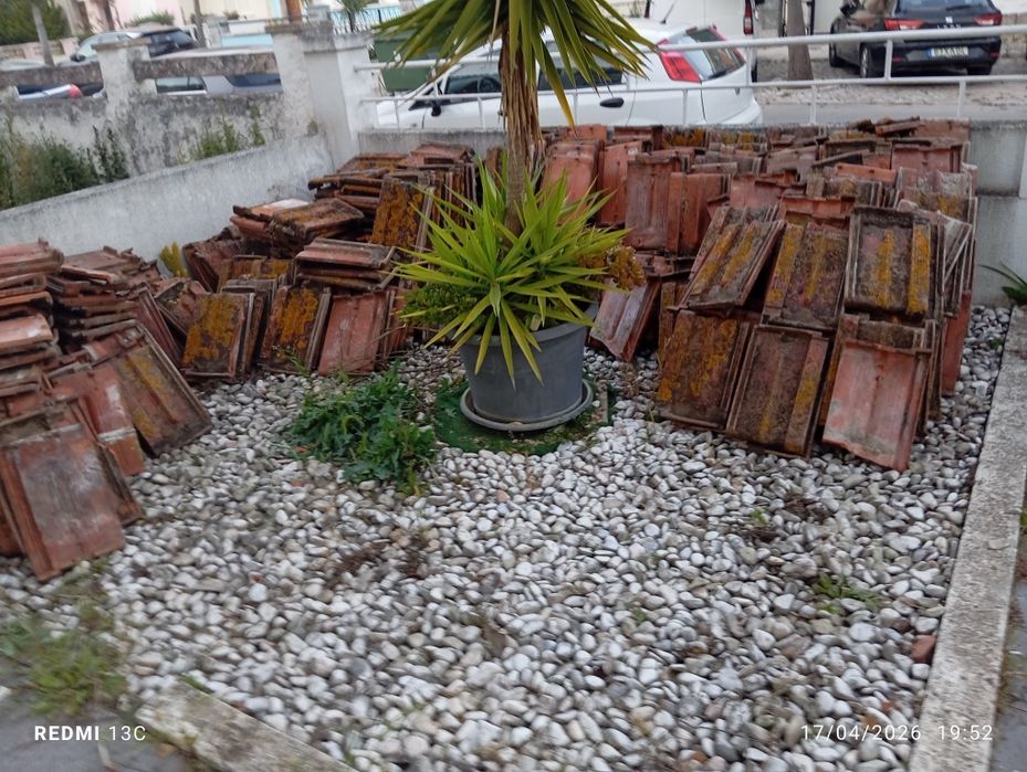 Telhas usadas bem estimadas