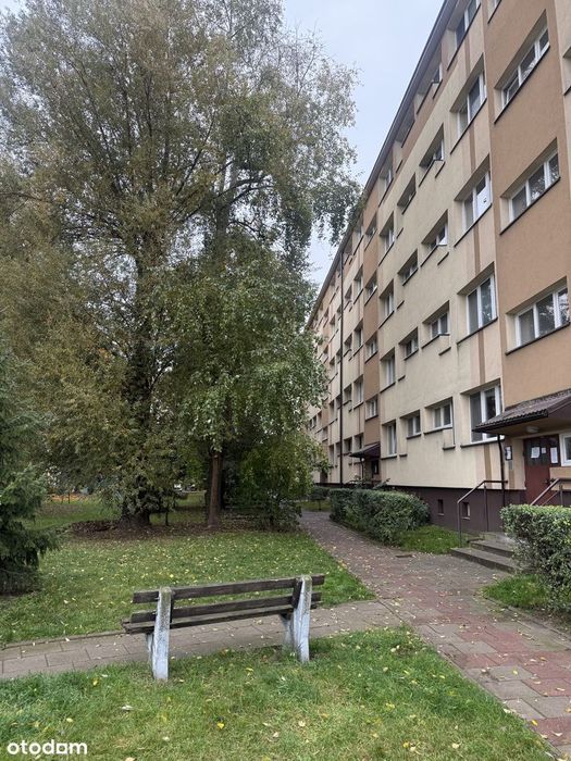 ***Cztery pokoje***Parter***Bezpośrednio***Blisko Centrum***Okazja***